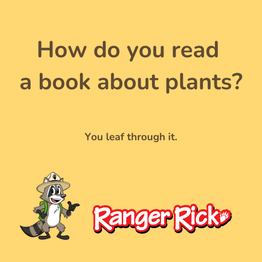 A raccoon in a ranger hat asks, "How do you read a book about plants?" The answer: "You leaf through it."