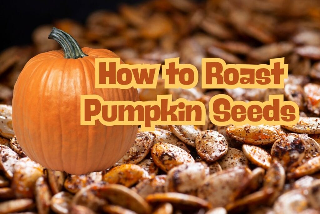 roasted pumpkin seeds