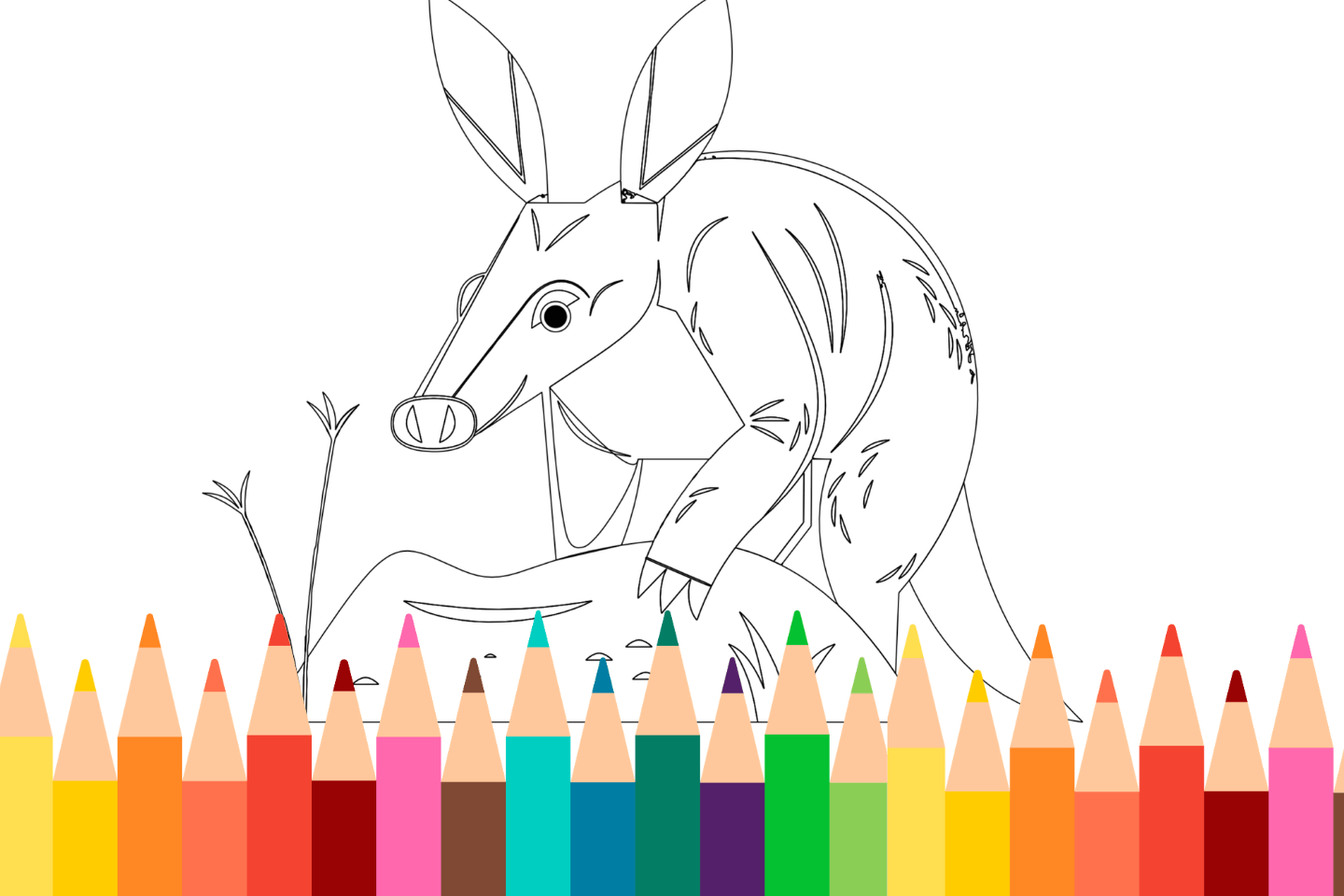A coloring page of an aardvark digging, with colorful pencils lined up at the bottom.