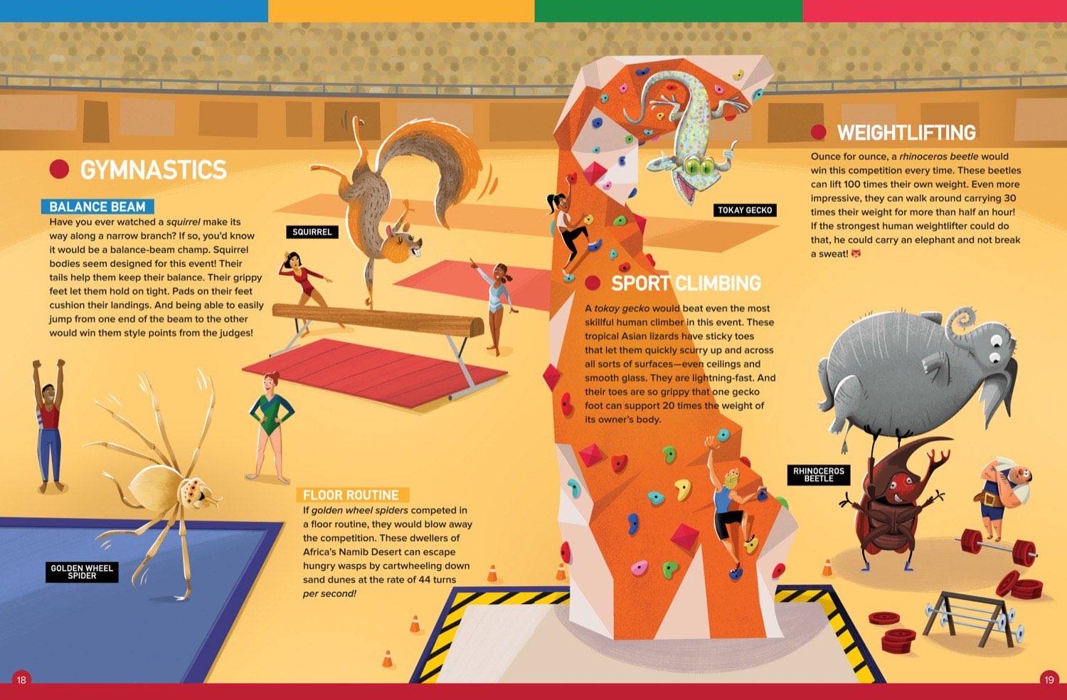 Magazine spread comparing animal and human gymnastics climbing and weightlifting abilities