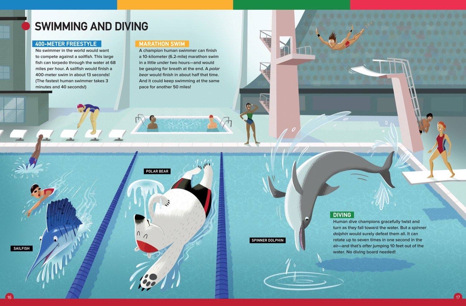 Magazine spread comparing animal and human swimming with sailfish polar bear and dolphin