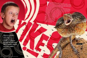 Magazine spread about animal fear with fight flight and freeze responses and porcupine quills