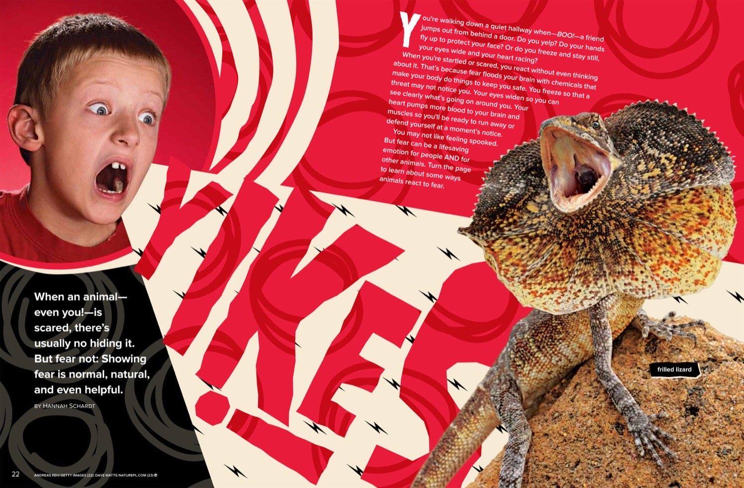Magazine spread about animal fear with fight flight and freeze responses and porcupine quills