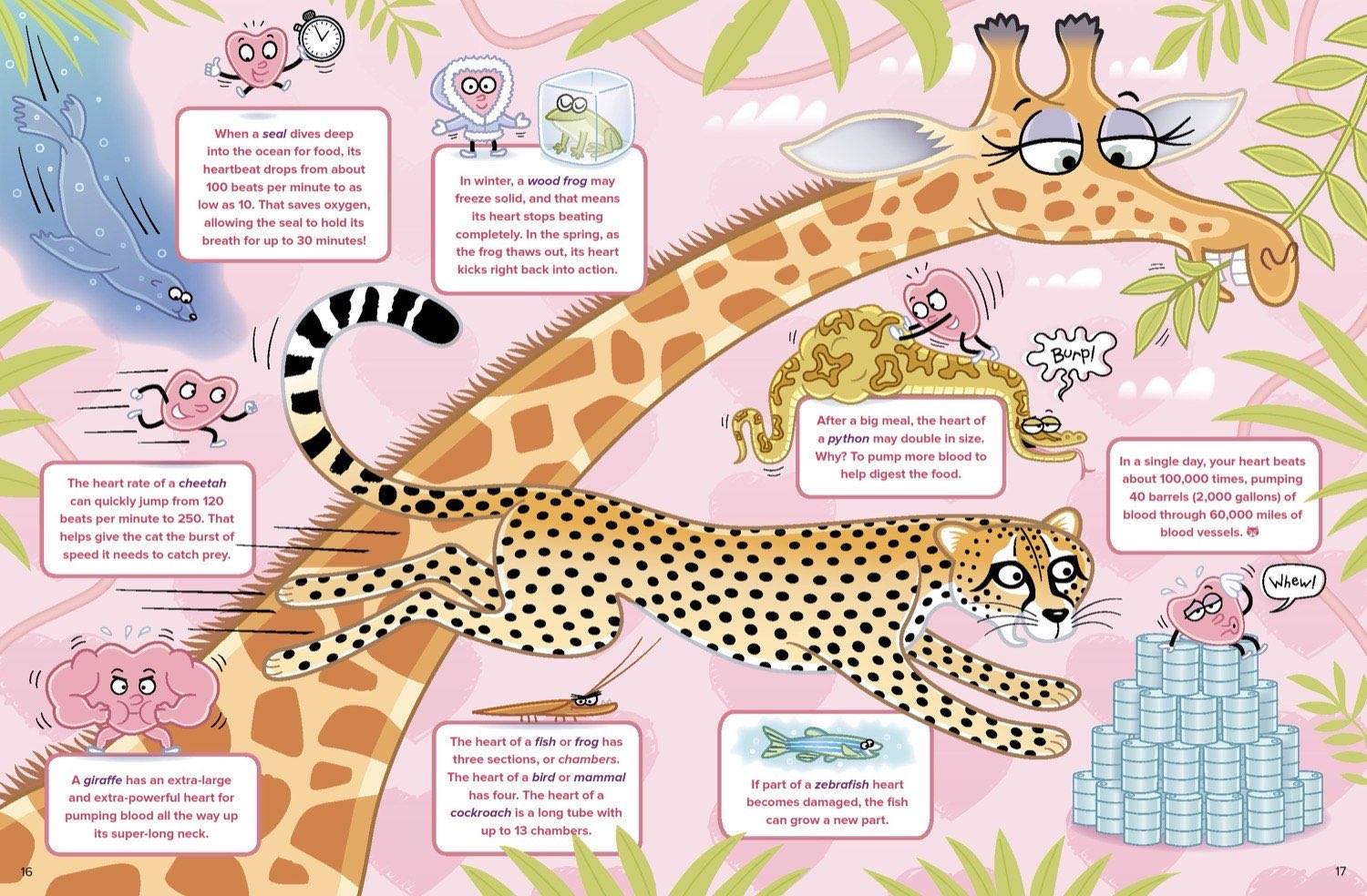 Illustrated spread about animal heart facts featuring cheetah giraffe python and zebrafish