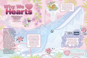 Magazine spread Why We Love Hearts with illustrated whale octopus and heart size facts