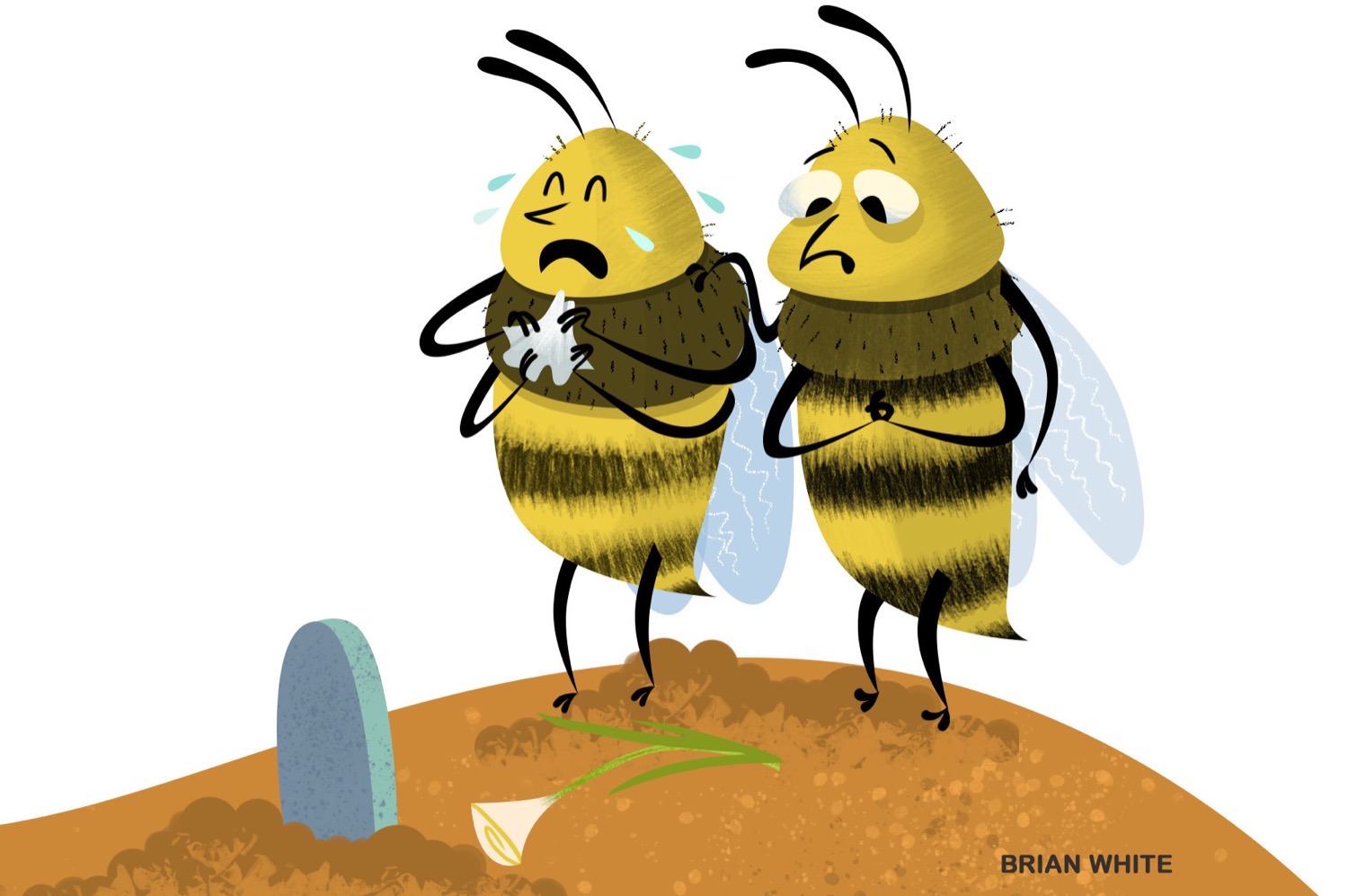 Two illustrated bees crying at a tiny grave busting the myth that all bees die after stinging