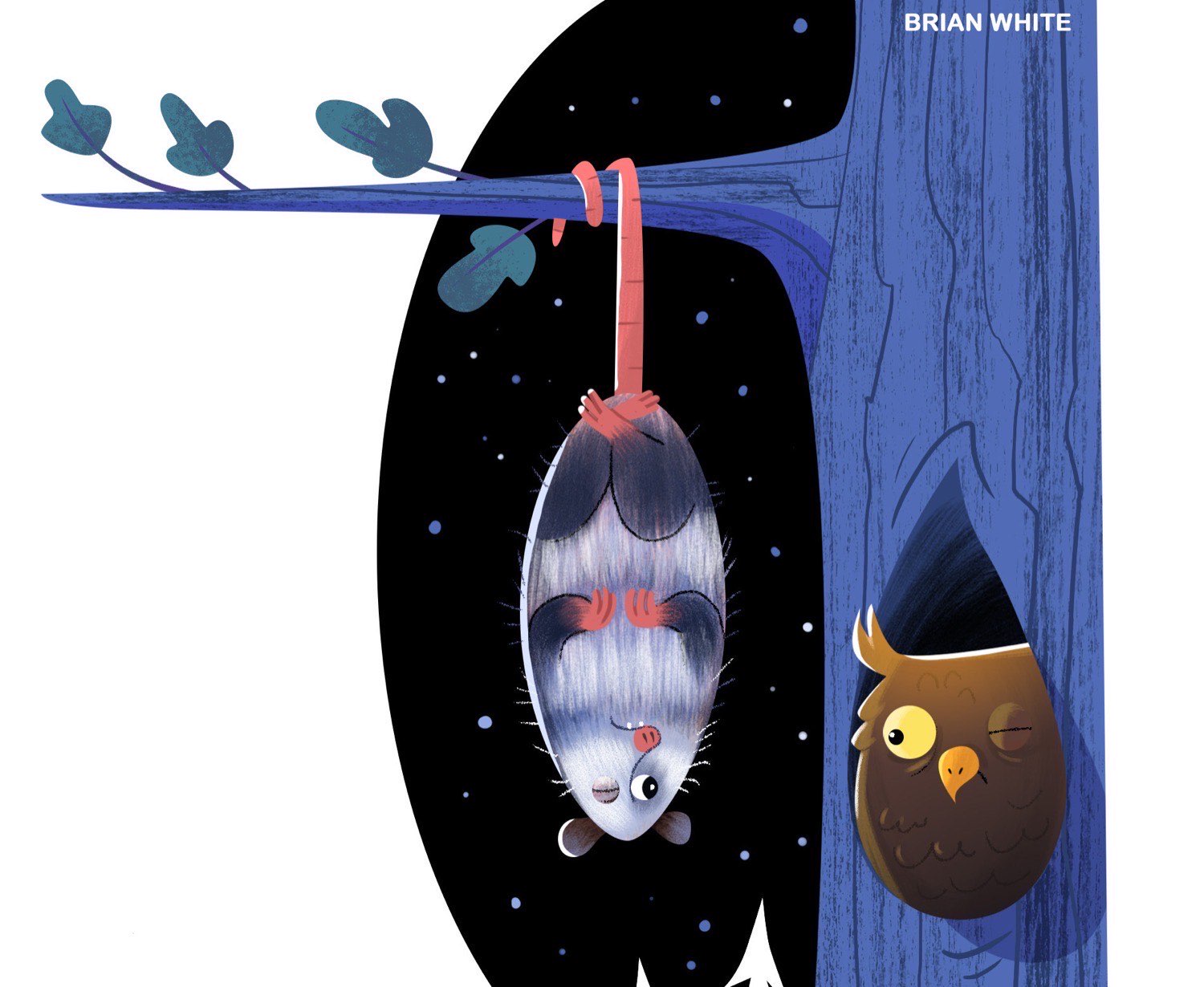 Illustrated opossum hanging from a branch by its tail at night while an owl peeks from a tree hole
