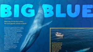 Ranger Rick magazine opening spread Big Blue with blue whale illustration and boat photo