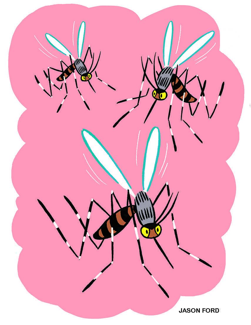 Illustration of three buzzing mosquitoes on a pink background