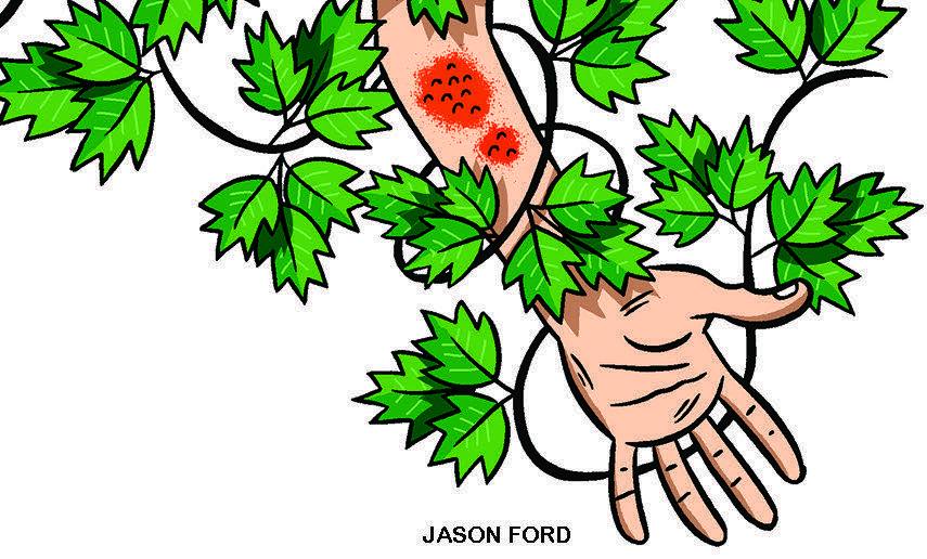 Illustration of an arm with red rash tangled in poison ivy vines
