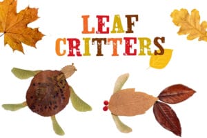 colorful autumn leaves turned into animals