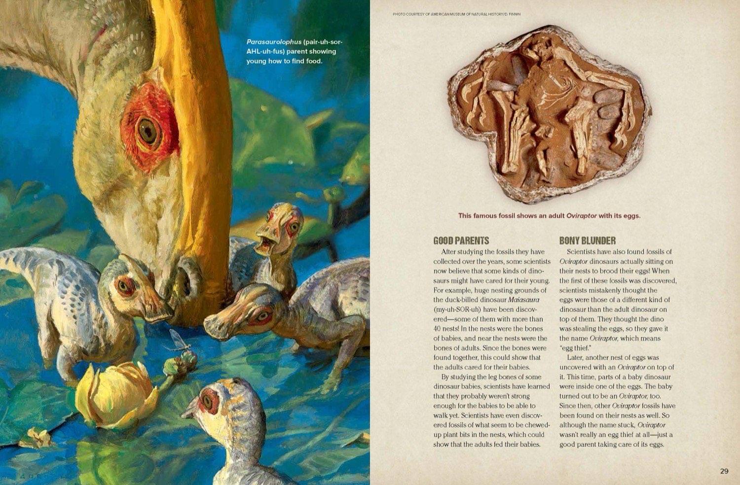 Magazine spread about dinosaur parenting with parasaurolophus illustration and oviraptor egg fossil