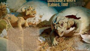 Magazine spread Dinosaurs Were Babies Too with baby triceratops hatching and fossil egg facts