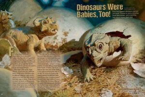 Magazine spread Dinosaurs Were Babies Too with baby triceratops hatching and fossil egg facts