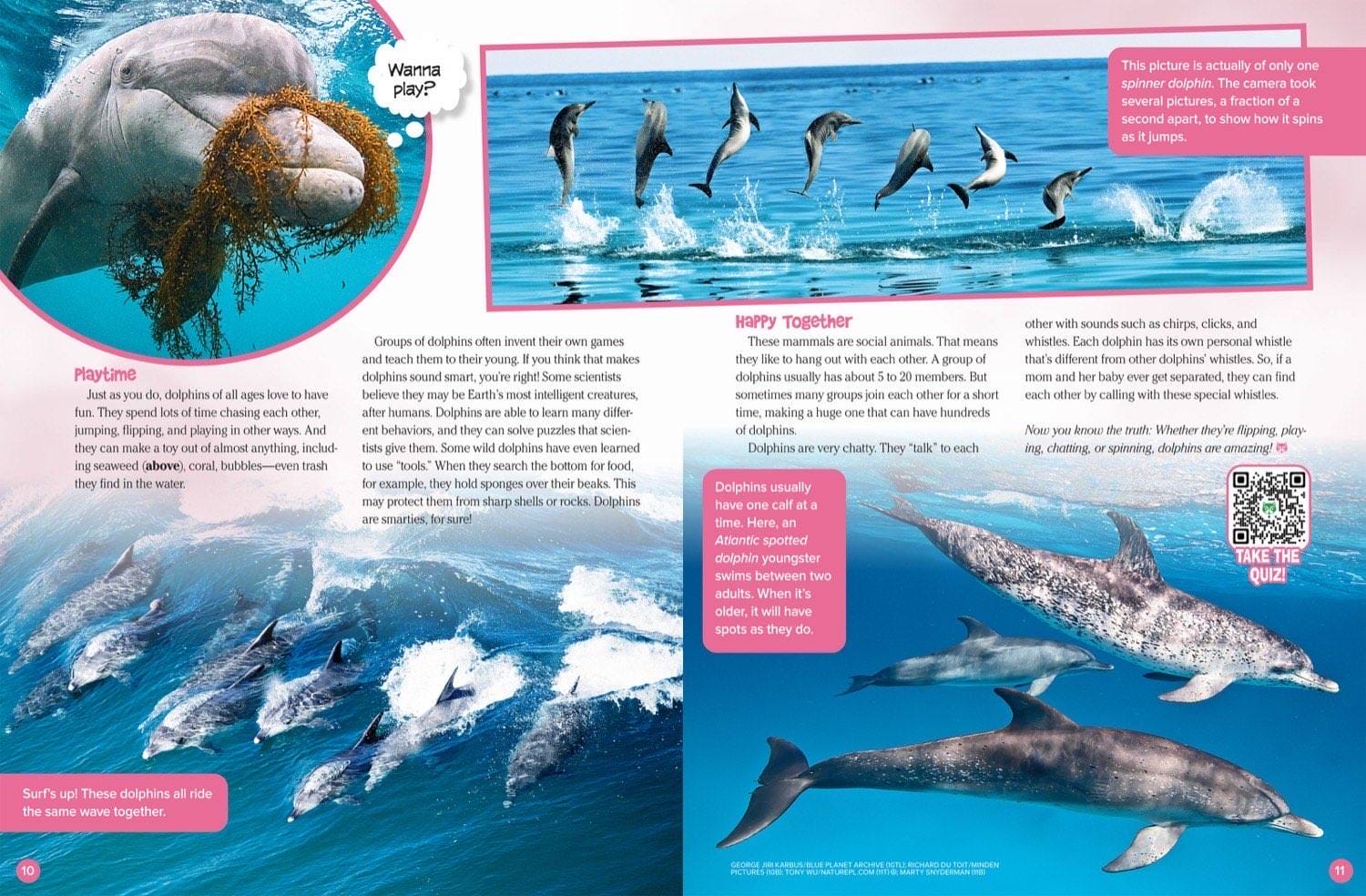 Magazine spread about dolphin play behavior spinner dolphins and social communication