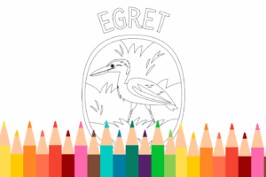 Egret Coloring Page