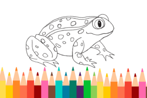Frog Coloring Page