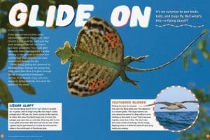 Ranger Rick magazine spread Glide On featuring flying lizard gliding frog and albatross