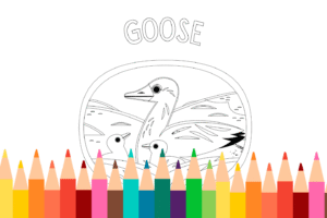 Goose Coloring Page
