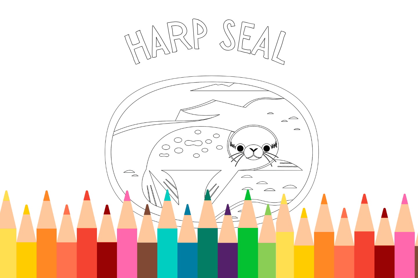 Printable harp seal coloring page for kids