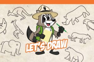 Ranger Rick Let's Draw banner with raccoon mascot holding a pencil surrounded by animal sketches