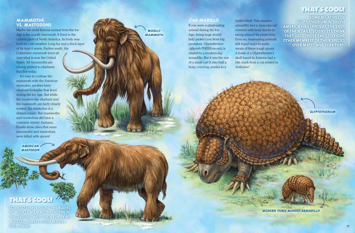 Magazine spread about giant ground sloth short-faced bear and glyptodon armadillo illustrations