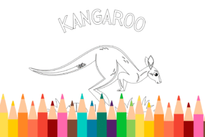 Kangaroo Coloring Page