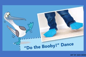 Do the Booby Dance activity with cartoon booby and child wearing blue paper webbed feet