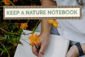 Child writing in a nature notebook outdoors surrounded by orange flowers