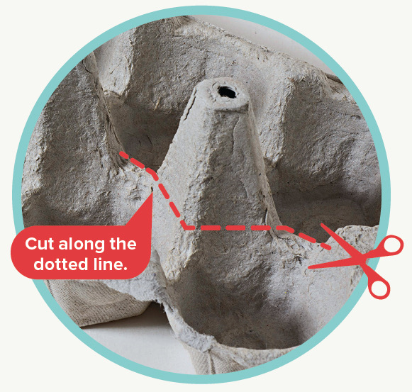 Closeup of egg carton center cone with dotted cut line and scissors showing where to cut