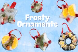 Six frozen ice ornaments in star circle and wreath shapes with berries leaves and orange slices