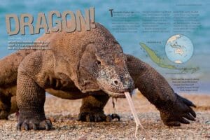 Ranger Rick magazine opening spread Dragon with huge Komodo dragon photo and Indonesia map