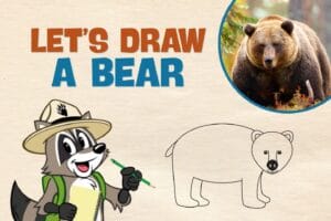 Ranger Rick drawing a bear with a pencil and a brown bear in the upper right corner