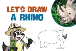 Ranger Rick drawing a rhino with a pencil and a rhino in the upper right corner