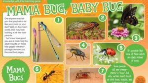 Magazine spread Mama Bug Baby Bug with spicebush swallowtail caterpillar and butterfly eggs