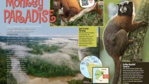 Magazine spread Monkey Paradise with howler monkey aerial rainforest Ecuador map and golden-mantled tamarin