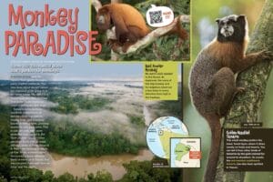 Magazine spread Monkey Paradise with howler monkey aerial rainforest Ecuador map and golden-mantled tamarin