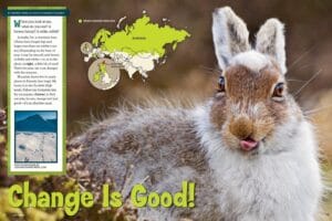 Ranger Rick magazine spread Change Is Good about mountain hare seasonal coat changes