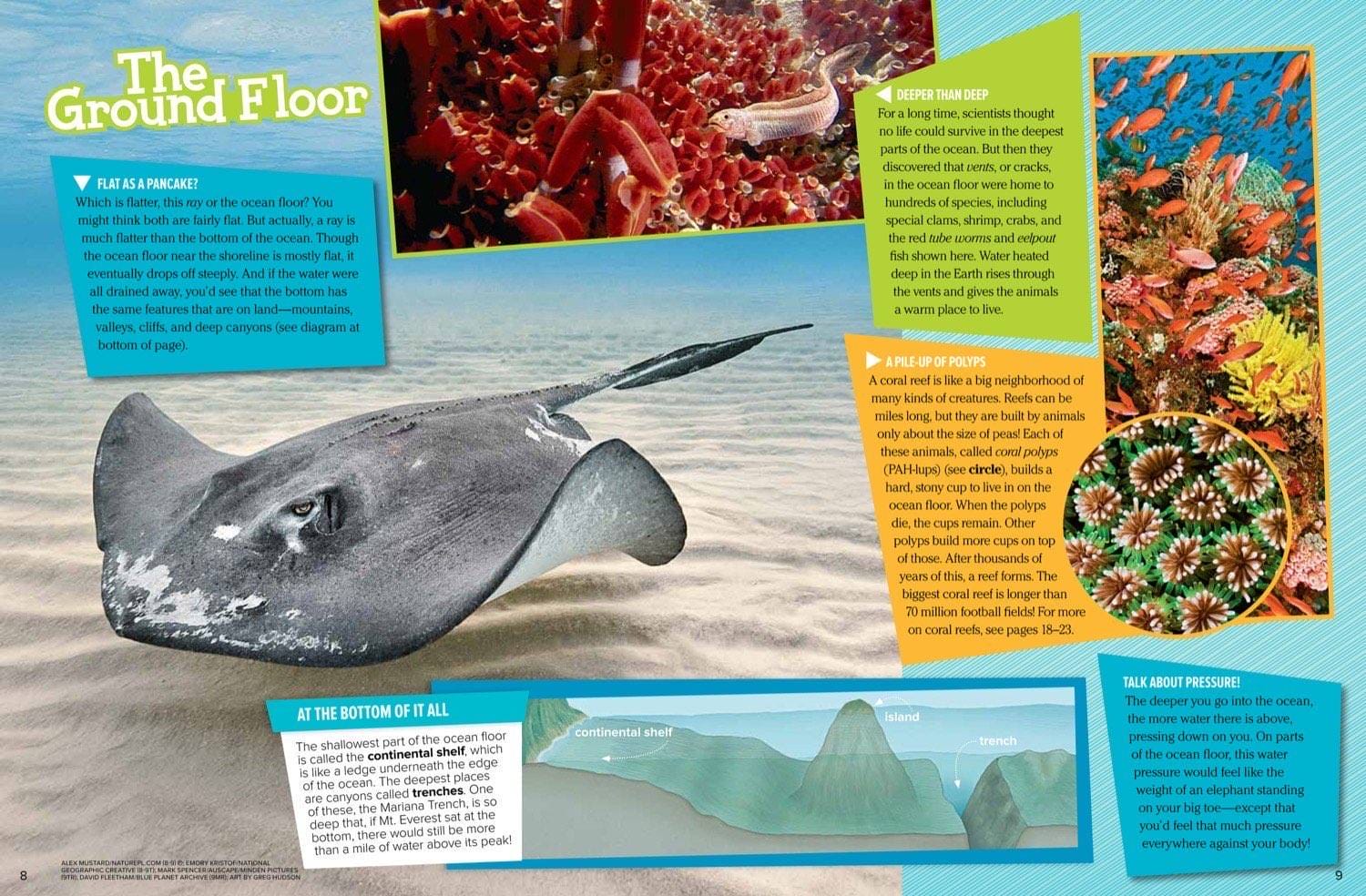 Magazine spread The Ground Floor about ocean bottom with stingray coral reef and Mariana Trench