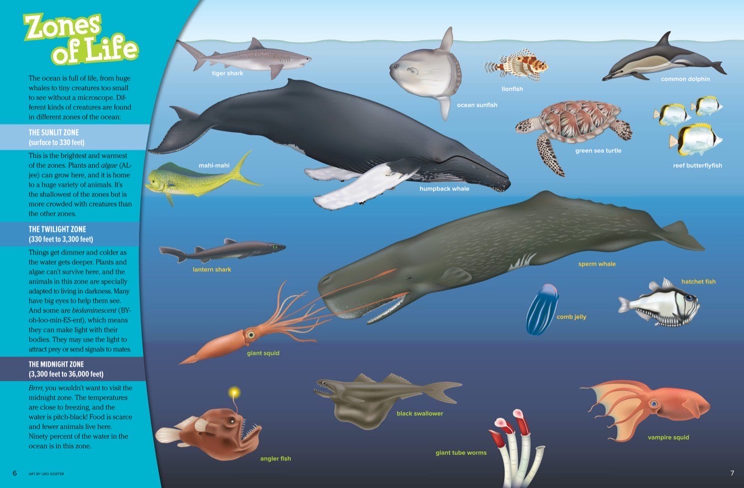 Illustrated magazine spread Zones of Life showing sunlit twilight and midnight ocean zones with animals