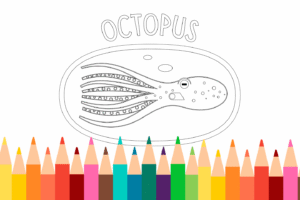 Octopus Coloring Page - Ranger Rick Jr.
