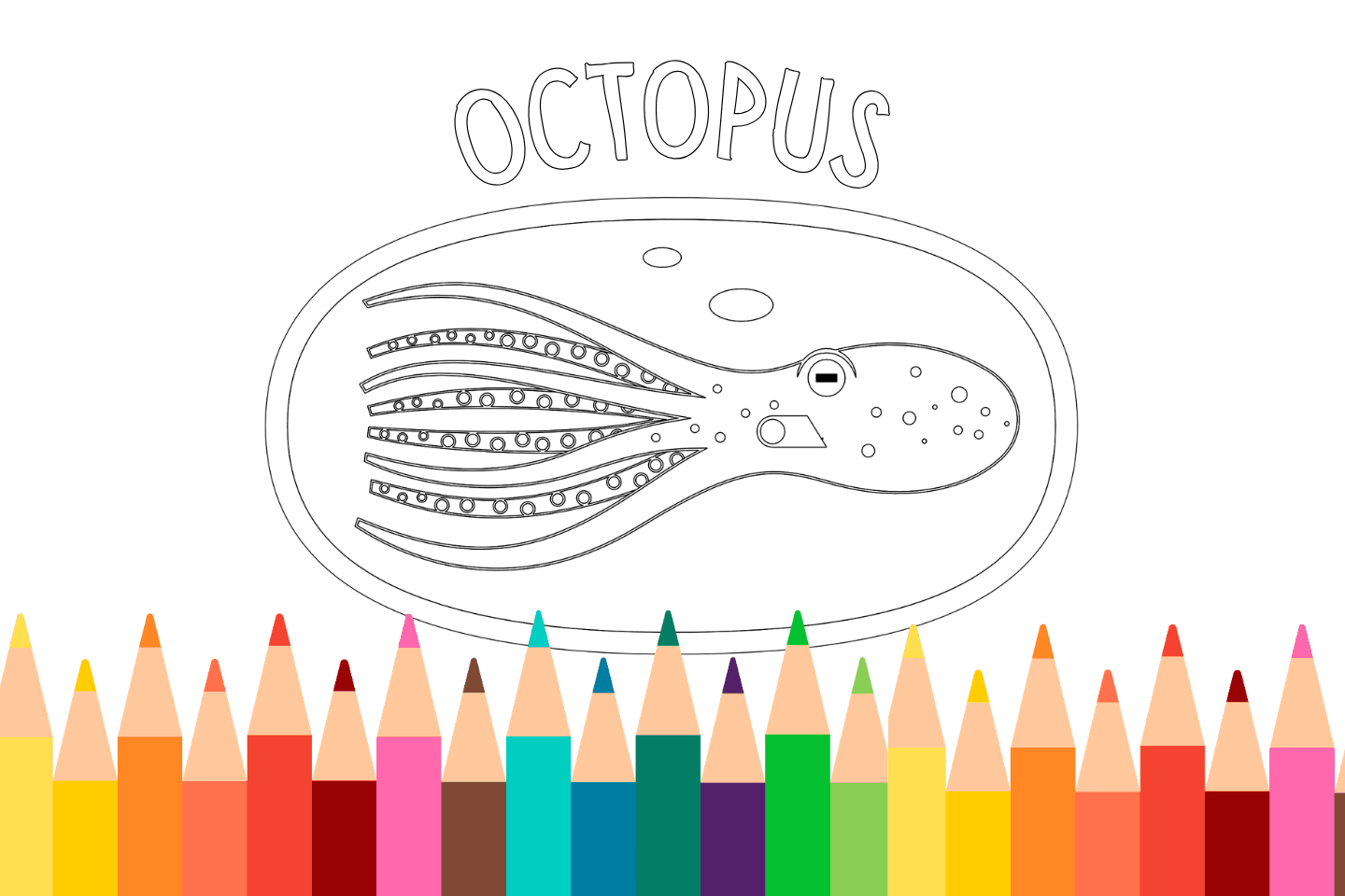 Printable octopus coloring page for kids