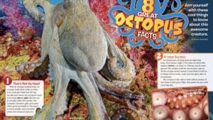 Magazine spread about eight great octopus facts featuring a giant Pacific octopus on coral