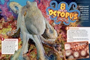 Magazine spread about eight great octopus facts featuring a giant Pacific octopus on coral