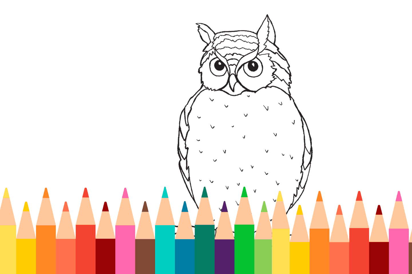 An outline drawing of an owl with many colorful pencils below it.