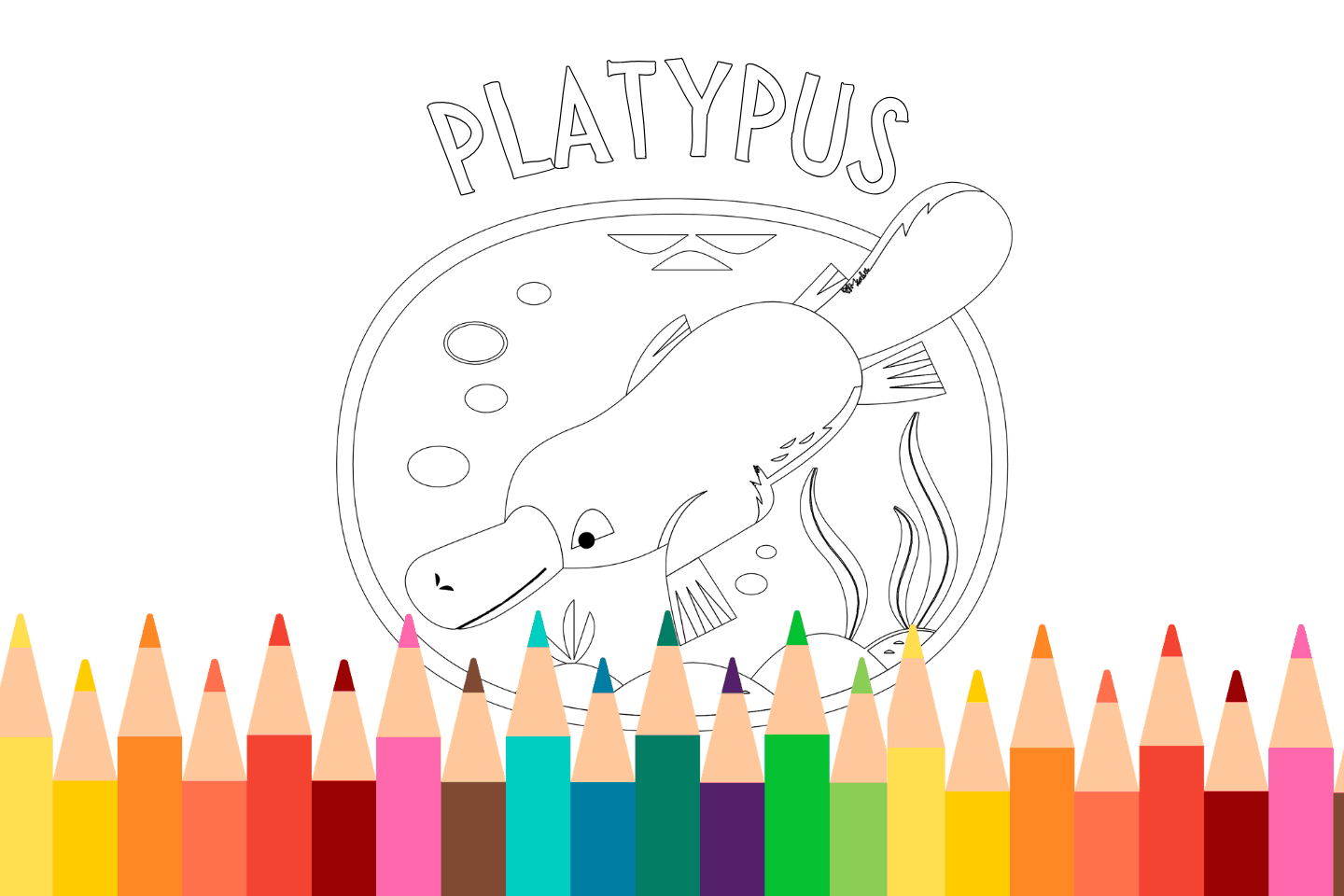 Printable platypus coloring page for kids