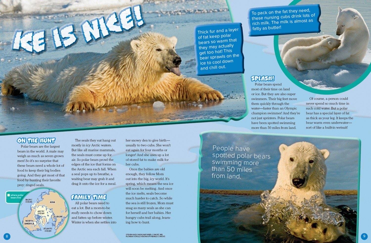 Polar bear relaxing on ice, swimming in Arctic water, and nursing cubs