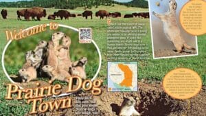 Ranger Rick magazine opening spread Welcome to Prairie Dog Town with bison and pups
