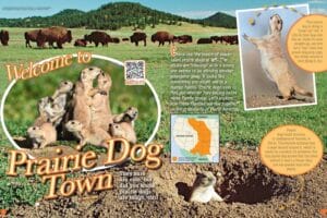 Ranger Rick magazine opening spread Welcome to Prairie Dog Town with bison and pups