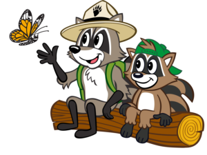 Two raccoons, one in a ranger hat, sit on a log watching a monarch butterfly.